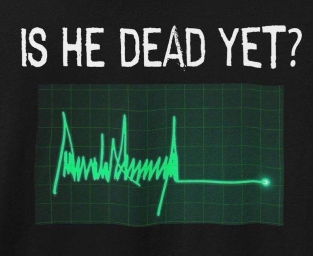  Picture of an apparent heart monitoring graph that looks exactly like the orange fascist's signature, ending with the long straight line. The text above it: 'is he dead yet?'