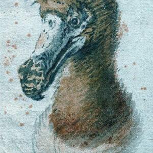 Meyltje ∞ 🍋 🏳️‍🌈