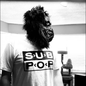The Vinyl Ape 🦧