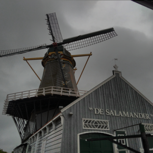 Molenaar