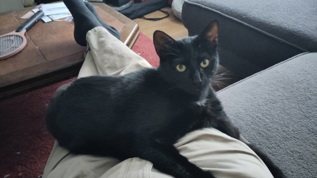 Lúthien op schoot, kijkend in de camera.
