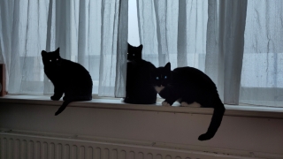 photo/2721cf53-88fd-40ac-8b9c-85a8d6099e3c-3