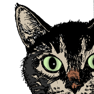 Normand C. :postmarketos: