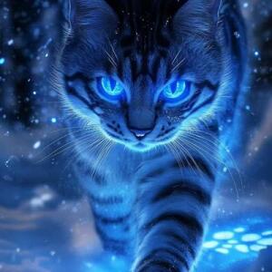 Magical Cat