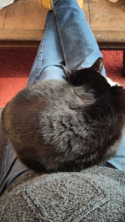 photo/572130bb-8033-4404-8c29-7d612762bd5f-3