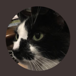 Talala 🇨🇦