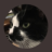 Talala+%F0%9F%87%A8%F0%9F%87%A6