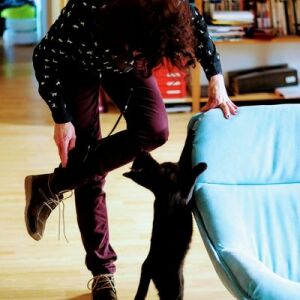 CatLadyAnnoesj🐈 📚💌🌳🌸🗺️