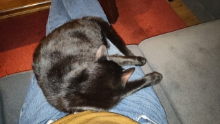 photo/93d8e0b9-24f5-4a44-816f-1eee28654525-3