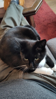 photo/99588503-7c65-42ab-849a-0aae8a15c6a2-3