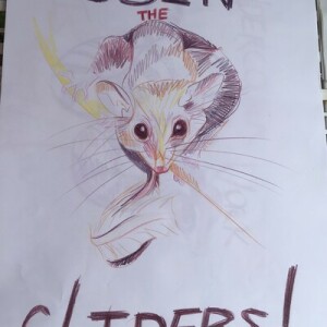 Charlse the Glider