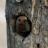 GailWaldby%40bsky.social%E2%9D%8C%F0%9F%91%91