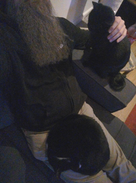 Photo of a black cat sleeping on my lap, and another sitting next to me, my left hand petting her.