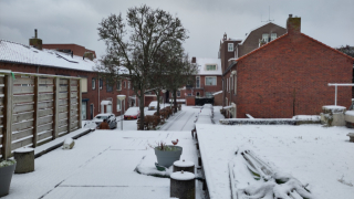 sneeuw1.jpg