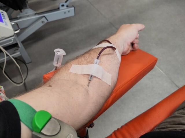 sanquin.jpg