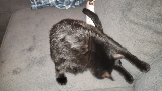 photo/bfdfab93-bd40-45ec-a532-64cbc15007f4-3