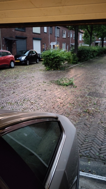Foto over de kont van een grijze Citroën CX, een straatje vol afgewaaide bladeren, een losgerukte tak er middenin. Foto over de kont van een grijze Citroën CX, een straatje vol afgewaaide bladeren, een losgerukte tak er middenin.