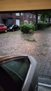vies_weer_buiten.jpeg