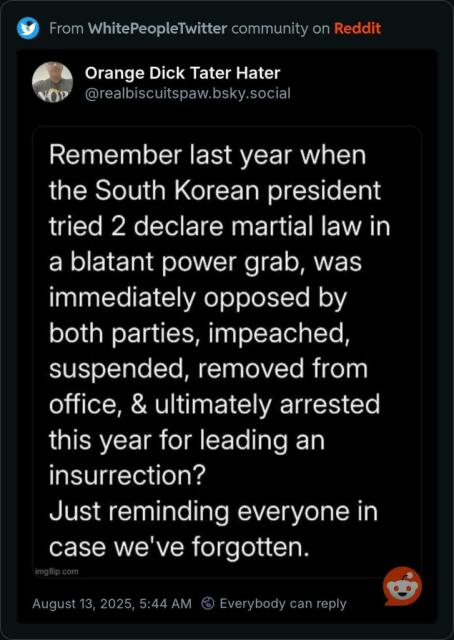  Screenshot from BlueSky, where @realbiscuitpaw.bsky.social says: Remember last year when the South Korean president tried to declare martial law in a blatant power grab, was immediately opposed by both parties, impeached, suspended, removed from office, & ultimately arrested this year for leading an insurrection? Just reminding everyone in case we've forgotten.