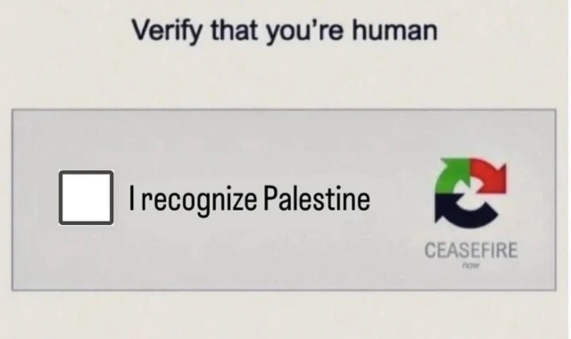 Captcha window, titled 'Verify that you're human'. Next to the logo, in the colours of the Palestinian flag and the text 'Ceasefire now' is the checkbox for 'I recognize Palestine'.