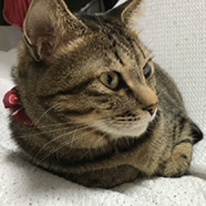 Kaori 🍉 🇵🇸 ☮️
