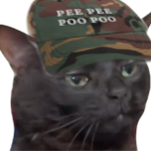 Tyler, Pitiful Fool