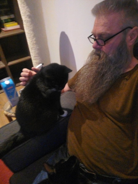 Zwart-witte poes, Melian, moeder van Lúthien, zit naast me op de leuning van de bank. Drijfnat, al is dat op de foto niet goed te zien. Onderin de foto zie je de kop van Lúthien, die nog steeds op schoot ligt. Zwart-witte poes, Melian, moeder van Lúthien, zit naast me op de leuning van de bank. Drijfnat, al is dat op de foto niet goed te zien. Onderin de foto zie je de kop van Lúthien, die nog steeds op schoot ligt.